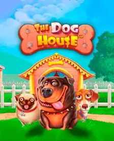 Popular Game